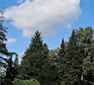 Кладбище Ольсдорф, Гамбург, 16 сентября 2013 года