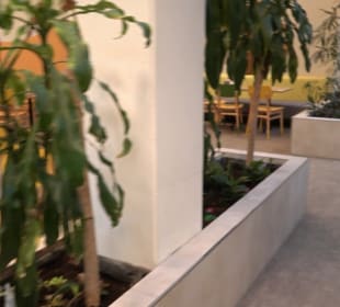 Market Restaurant