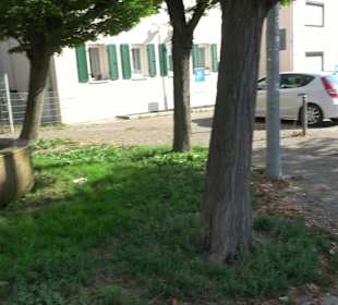 Kemnater Achsen-Rundgänge durch Kemnat