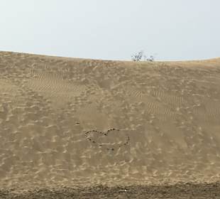 Dünen von Maspalomas