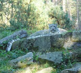 WP LH Herbst Impression