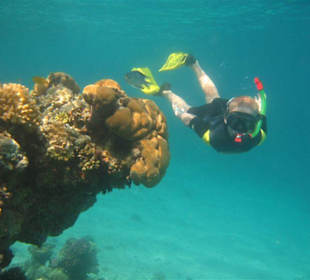 Auch für Kinder super geeignet.