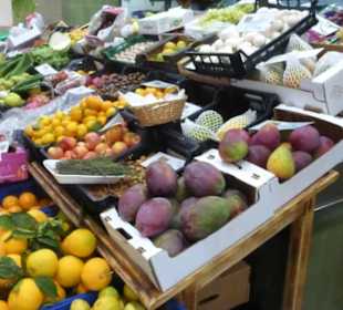 In der Markthalle Mercado municipal o Recova