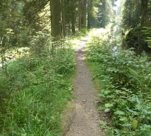 Von Bayerisch Eisenstein nach Ludwigsthal