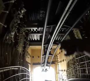 Deep in Africa - Black Mamba