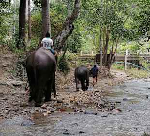 Auf dem Weg zur Badestelle