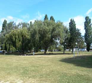 Lac de Pont-l'Évêque