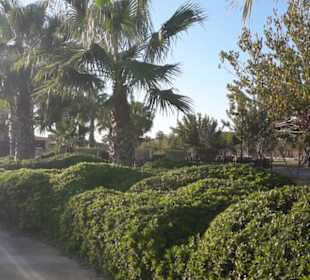 Schöne Abgrenzung am Strandweg