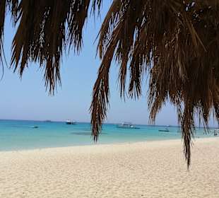 Giftun / Mahmya Inseln