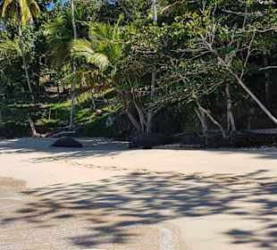 Strand Playa Rincon