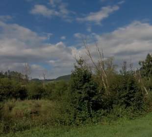 Wander- und Radweg Donau