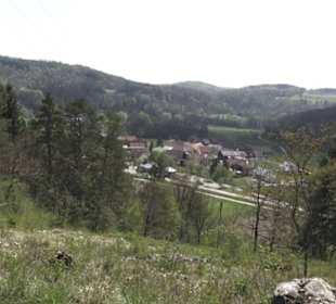 Waldlehrpfad an der Lauter