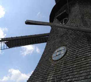 Windmühle von Potsdam