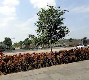 Umgebung bei Marina Bay