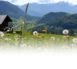 Wandern Innerbachklamm Unken