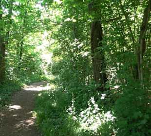 Wanderweg Sieben-Täler-Runde 