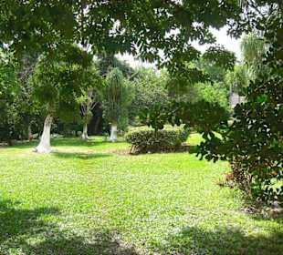 Park