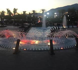 Der Park, der zwischen Hotel und Strand ist