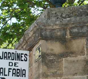 Der Weg von Can Picafort nach Alfabia