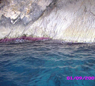 Eine der vielen Grotten an der Küste