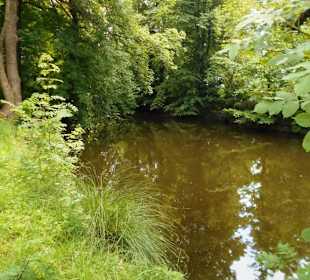 Lindengarten