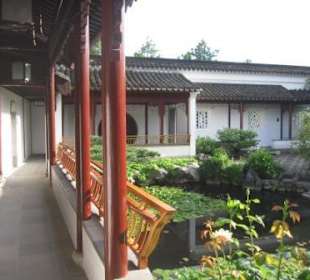 Balance zwischen Yin und Yang