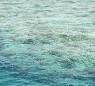 Korallenriff vom Boot aus