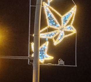 Stadtrundgang Jandia / Playa de Jandia