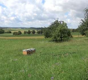 Wanderweg Ammerbucher Gigeleswegle