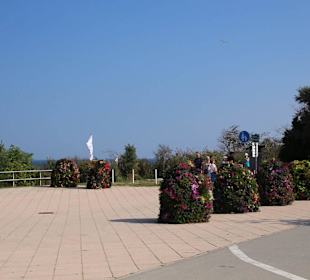 Baltic Platz