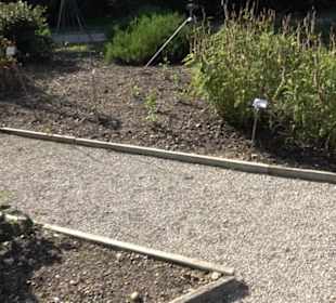 Botanischer Garten München