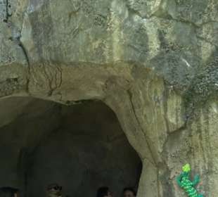 Land der Abenteuer - Dschungel X-pedition