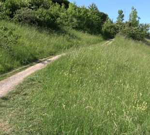 Früchtetrauf - Wurmlinger Kapellenwegle