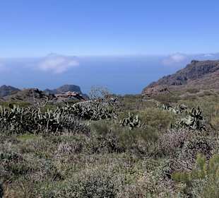 Teneriffa / Masca Schlucht