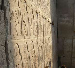 Ein wunderbarer Tag in Luxor