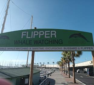 Mit der "Bussard" unterwegs