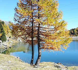 Weissbrunnsee im Ultental