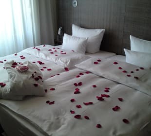 Bett