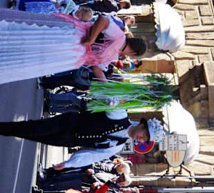 Landsmannschaft der Banater Schwaben Fürth