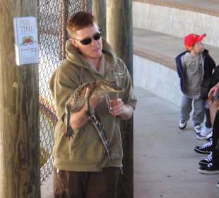 Everglades Safari Park