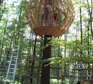 Das Baumhaus