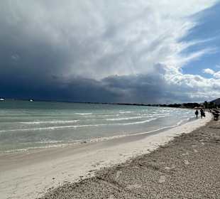 Strand Port Alcudia