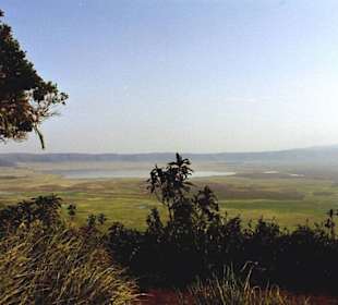 Ngorongoro Krater