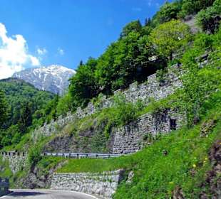 Plöckenpass 2010 die ganze Strecke