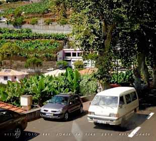 #1355 Yellow Bus hellblau Madeira-Camara de Lobos.