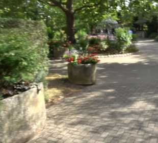 Erlebnispark Tripsdrill