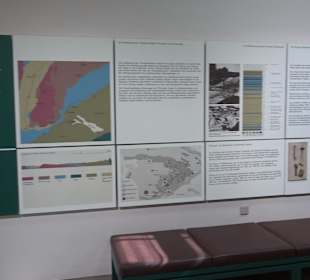 Staatliches Naturkunde Museum