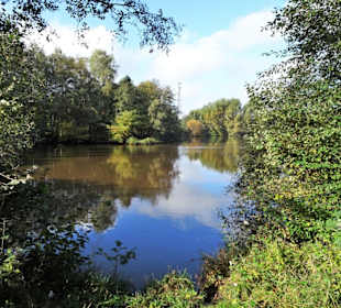 Impressionen vom Spaziergang am Drielaker See