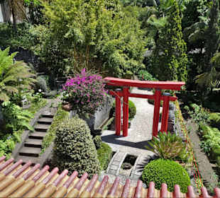 Eindrücke aus dem Monte Palace Tropical Garden