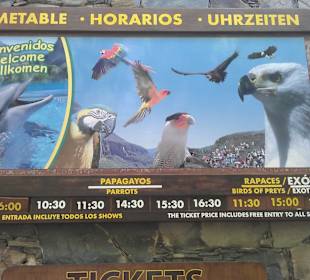 Wann beginnt welche Show